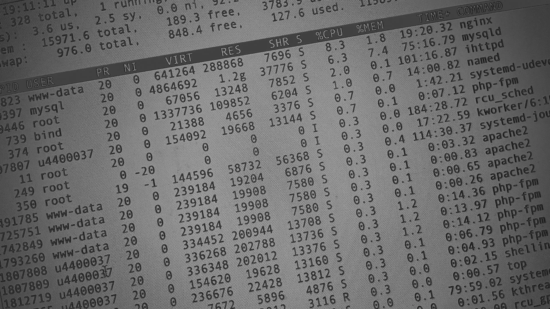 Настройка сервера в Канаше