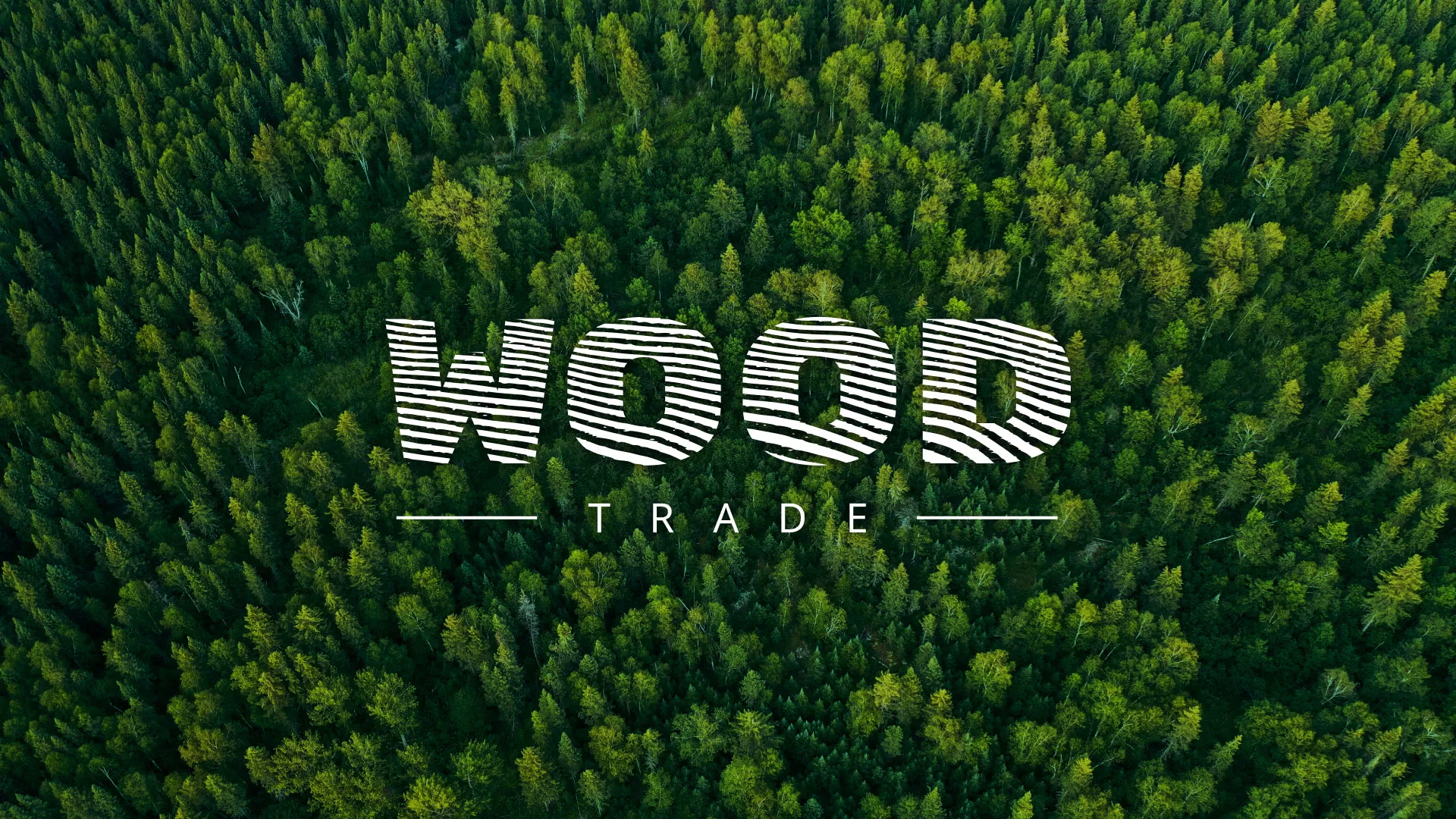Разработка интернет-магазина компании «Wood Trade» в Канаше