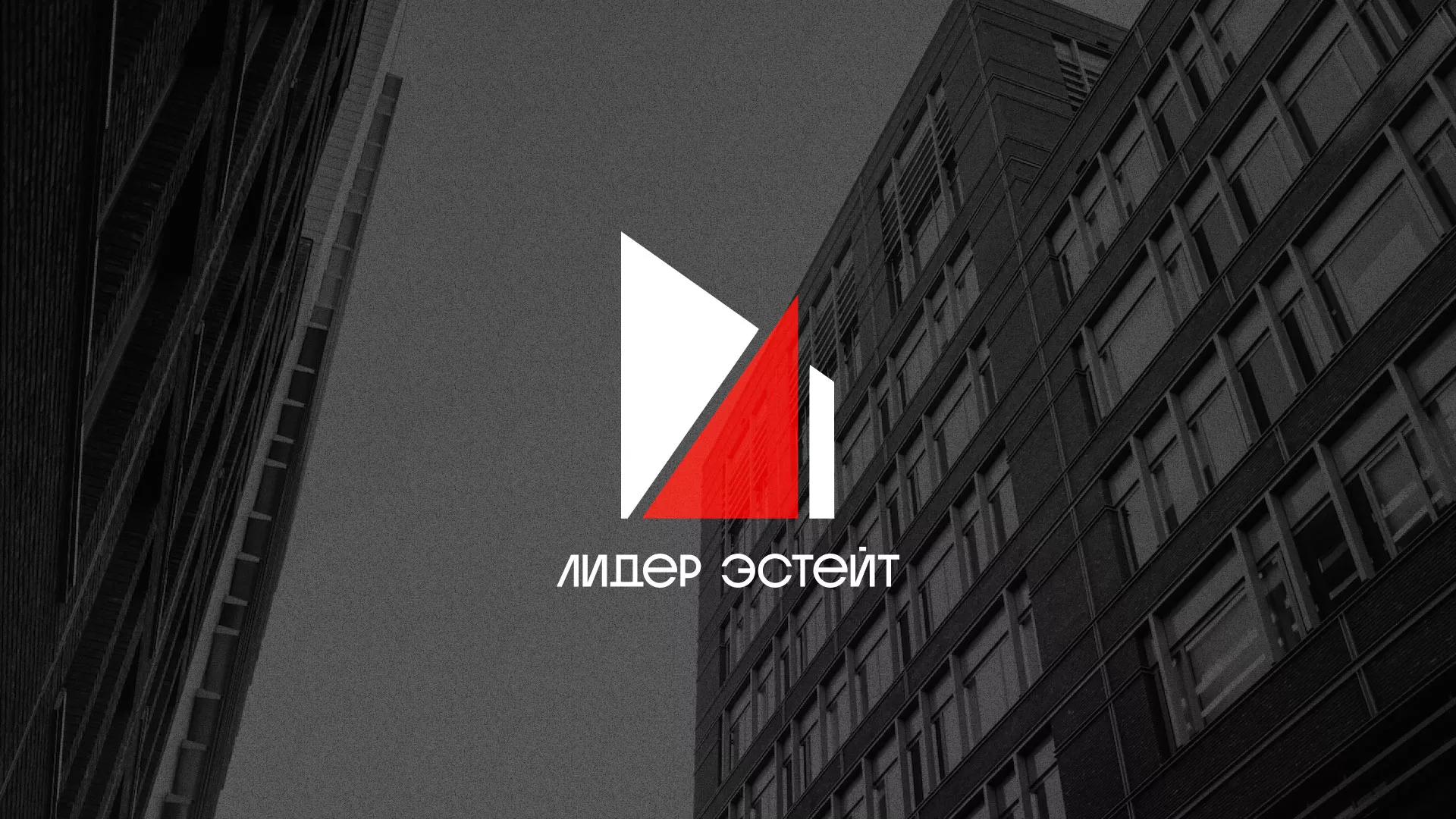 Сделали логотип для агентства недвижимости «Лидер Эстейт» в Канаше